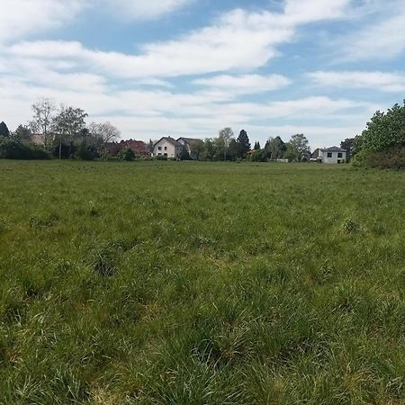 Stadtgruen 2 Berlin Eksteriør bilde